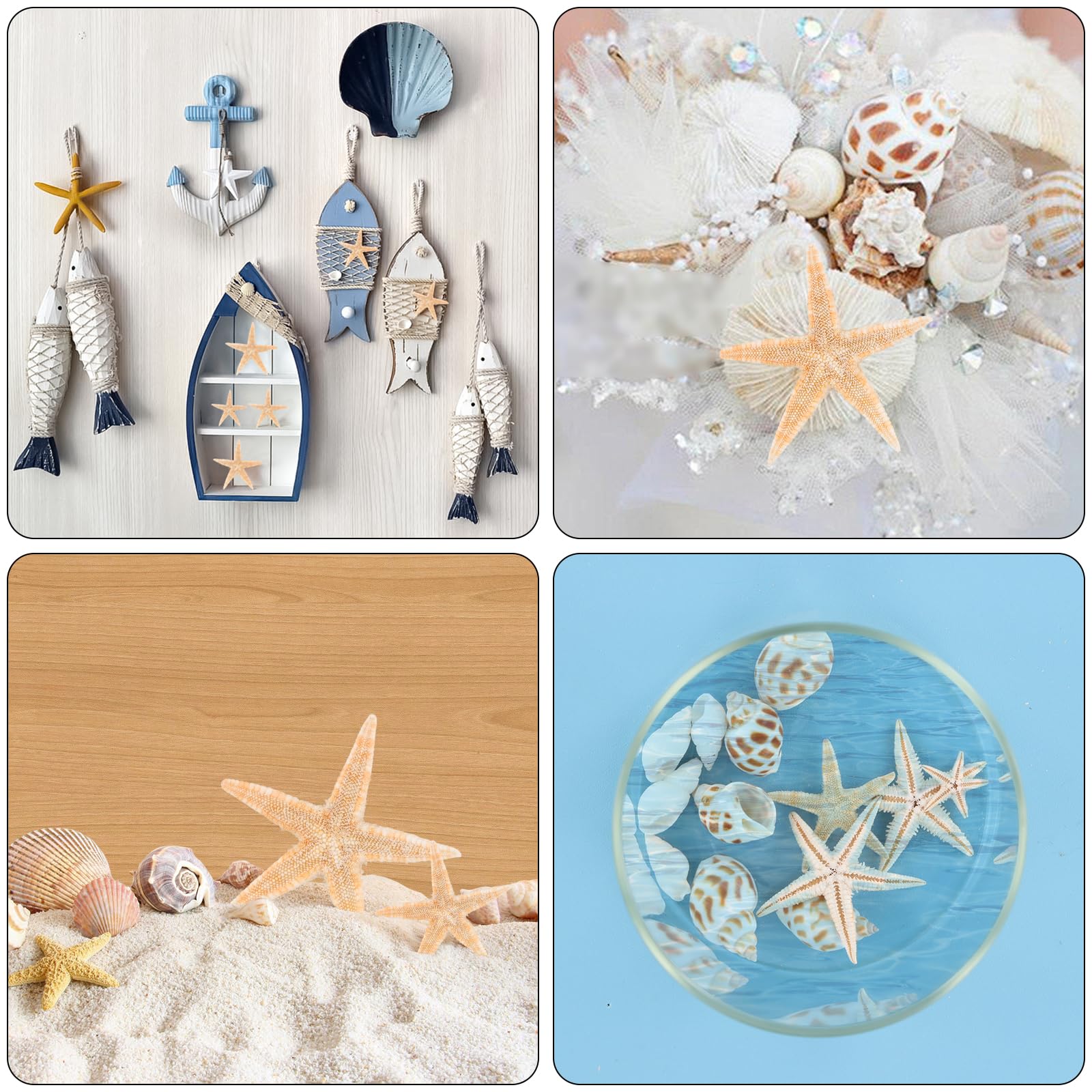 Lot De 20 étoiles De Mer Naturelles, 3 à 5 Cm, Décoration