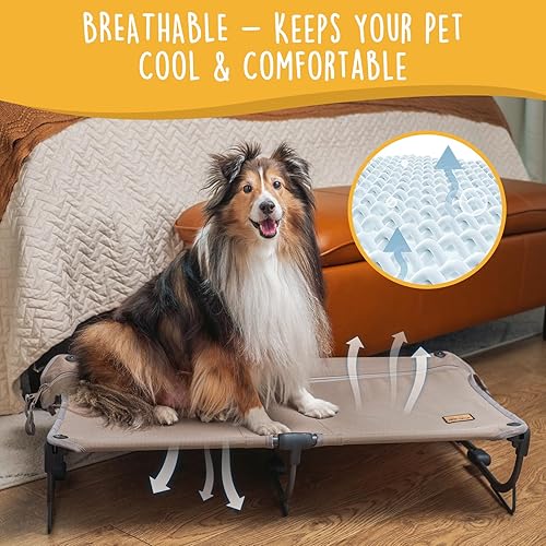 Miniatura 4 de Daisy - Cama elevada y plegable mediana para perro, portátil y plegable para exteriores, refrescante, a prueba de mordidas, impermeable, resistente