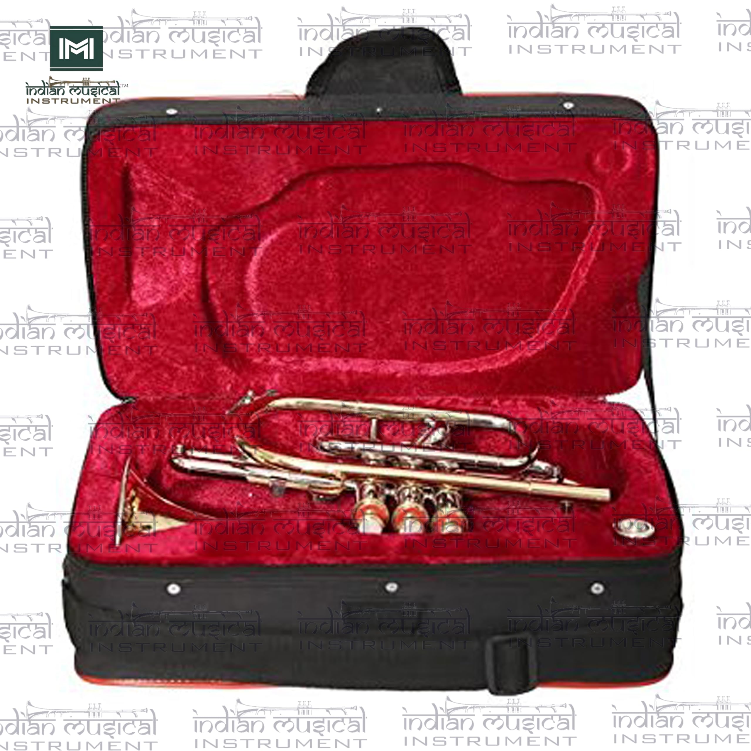 IMI Cornet Trumpet With All Accessories Including Mouthpiece