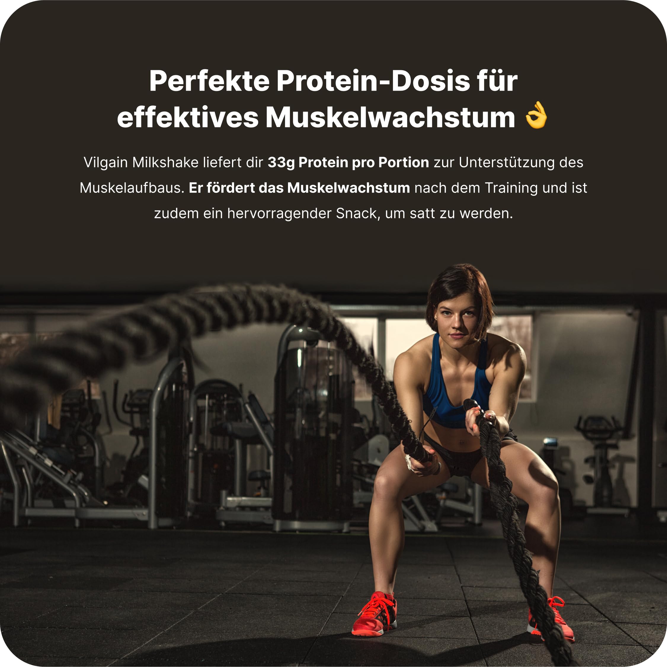 Vilgain Protein Milkshake (12x330 ml) Kakao – 33 g Protein Cremiger Milchshake Ohne Zuckerzusatz, Low Lactose Ready-to-Drink Protein Drink Mit Inulin & Stevia, Fitness Drink Schoko Snack