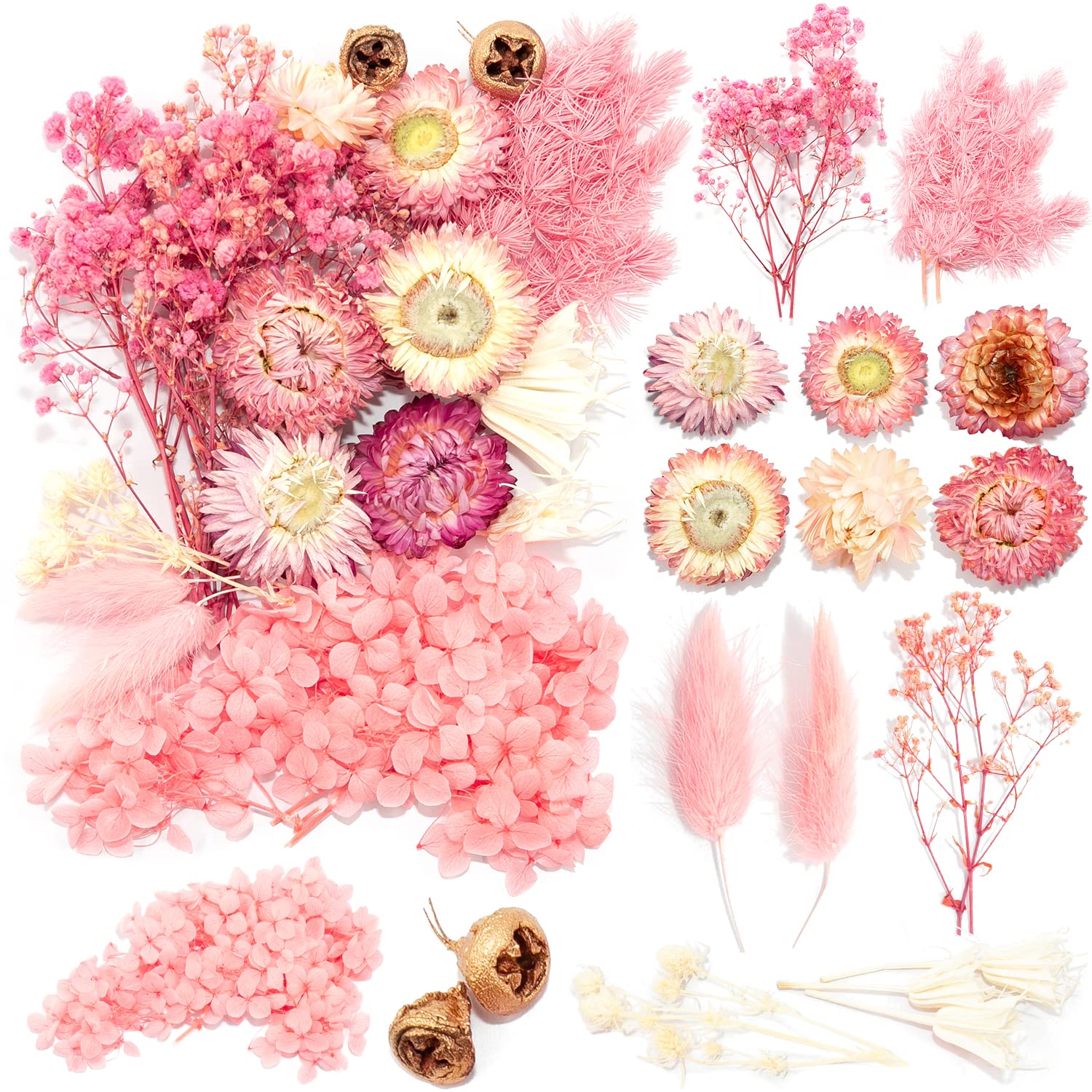 iDattel Natürliche Getrocknete Blumen,Blumen Natürliche Gemischte,DIY Natürliche Getrocknet Blumen Set für Kunst Basteln DIY Harz Scrapbooking Handwerk Karten Machen（Rosa weiße）