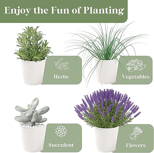 Miniatura 7 de PERFNIQUE Jardín de hierbas para interior, maceta de hierbas para interiorexterior, macetas de granja, alféizar de la ventana jardín de hierbas con