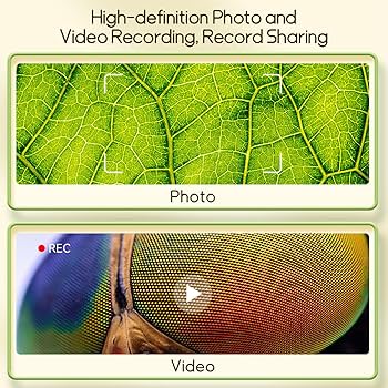 Frequently Asked Questions feature view