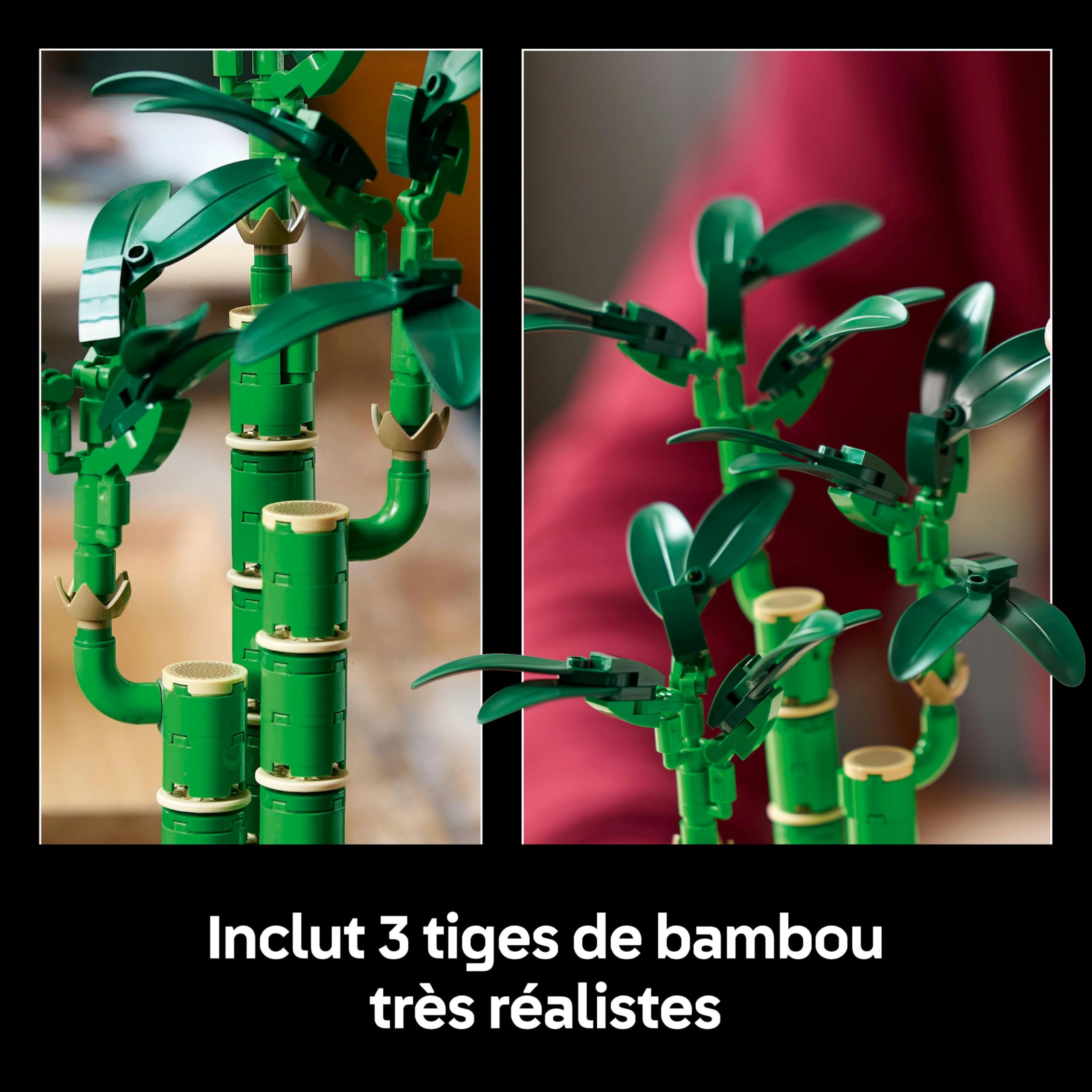LEGO Pack de Plantes symboliques - Sets de Plantes artificielles pour Adultes L’orchidée Miniature (10343) & Le Bambou de la Chance (10344) - Décoration Maison - Cadeau de St Valentin, Femme ou Homme