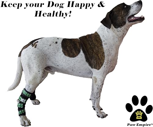 Miniatura 10 de Par de soportes para piernas de perro, ultra apoyo, cómodos, resortes de metal duales, envolturas para patas traseras, soporte de cornejo canino