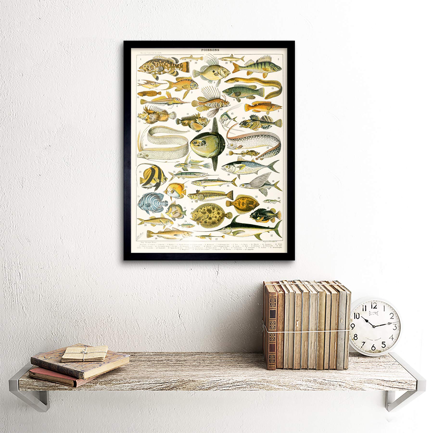 Artery8 Millot Encyclopedia Page Variety Sea Fish Art Print Framed Poster Wall Decor 12x16 inch — view 2