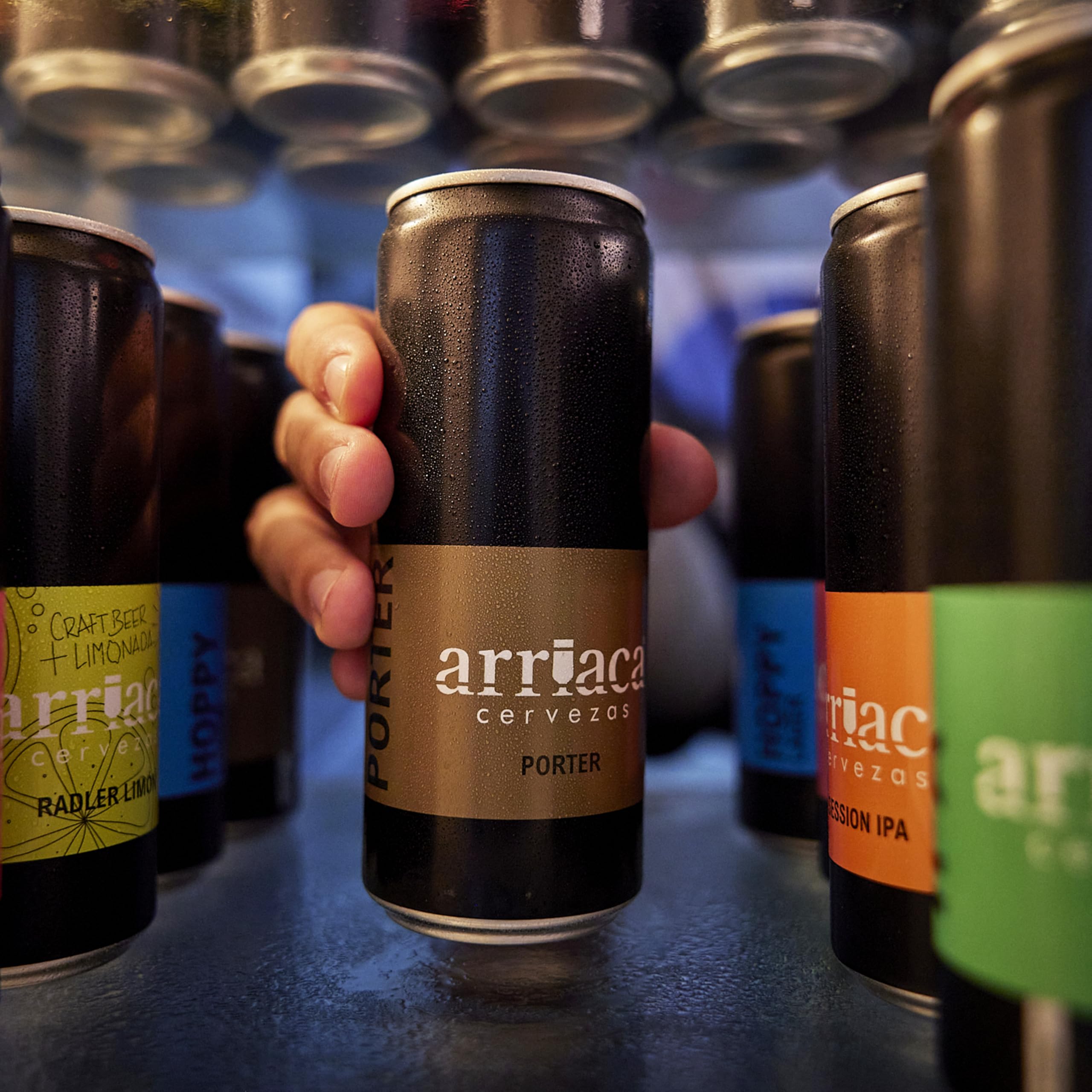 Cerveza Premium Arriaca PORTER en Pack Fabricación Artesanal. Premios internacionales a la Mejor Cerveza Artesana (24 latas 33cl)