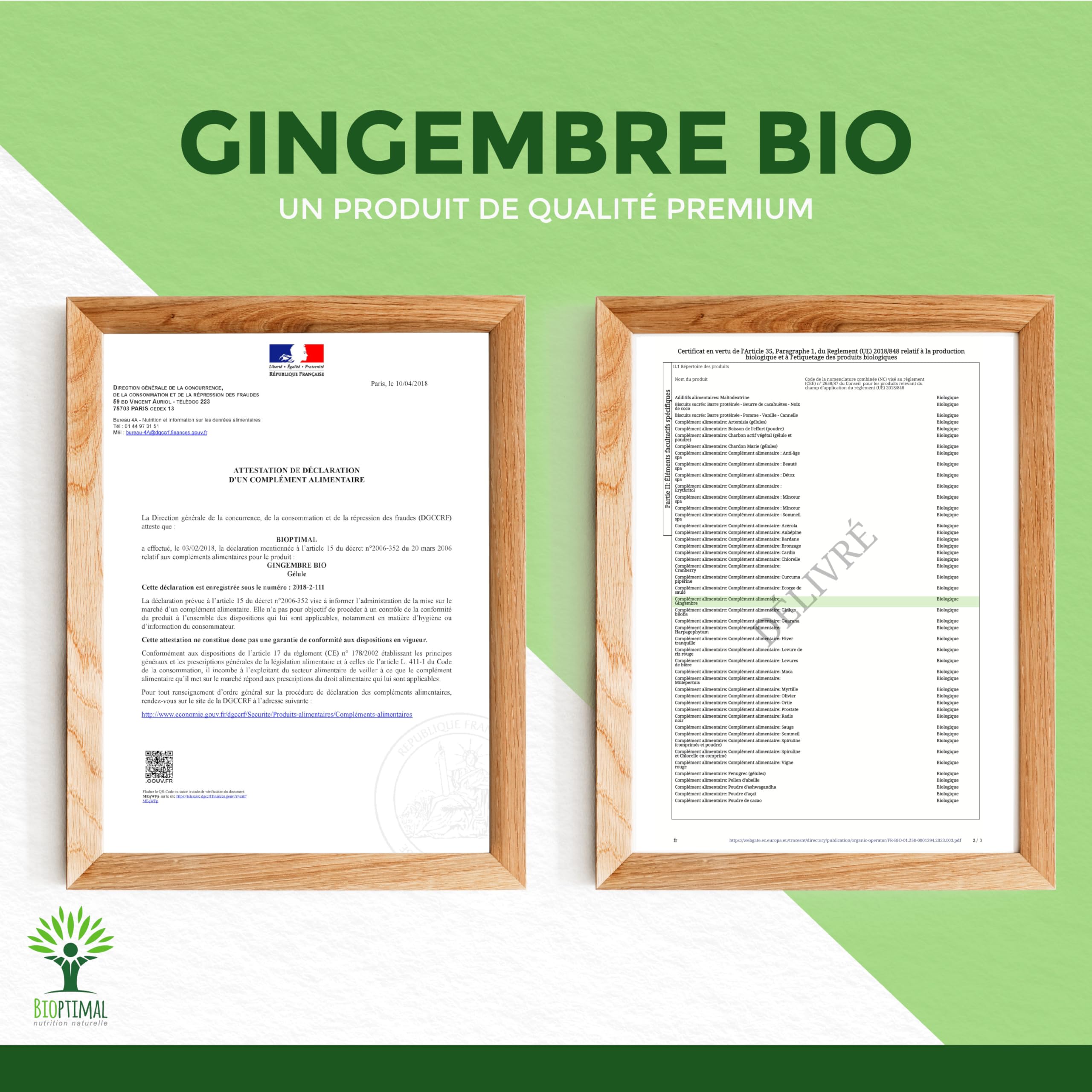 Gingembre Bio - Bioptimal - Complément alimentaire - Energie Mal des transports Digestion Sexualité - Poudre de Racine - 270 mg par Gélule - Fabriqué en France - Certifié par Ecocert - 200 gélules