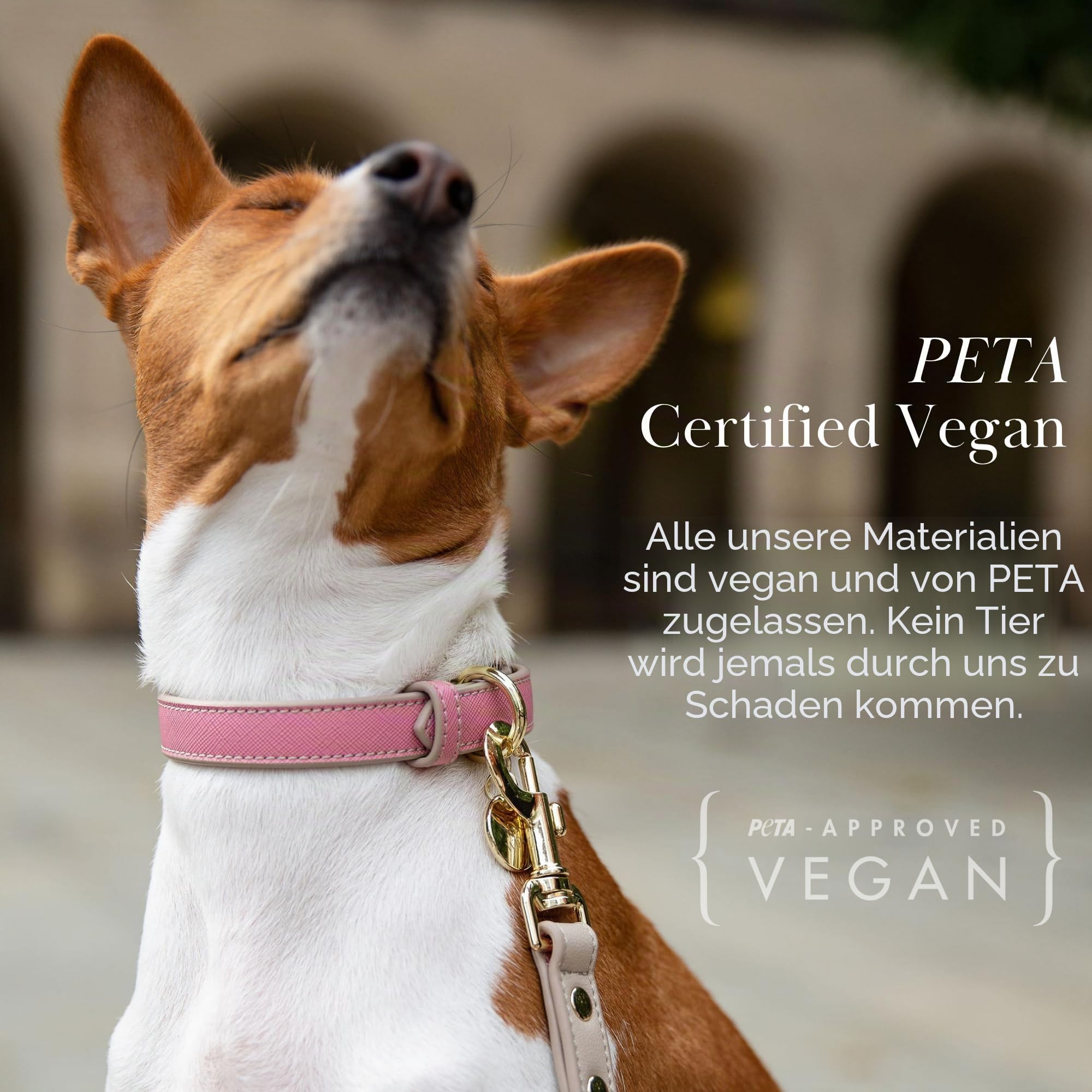 Nina Woof Rio Hundehalsband aus veganem Leder, gepolstert, verstellbar, mit Saffiano-Prägung, Rosa, Größe S