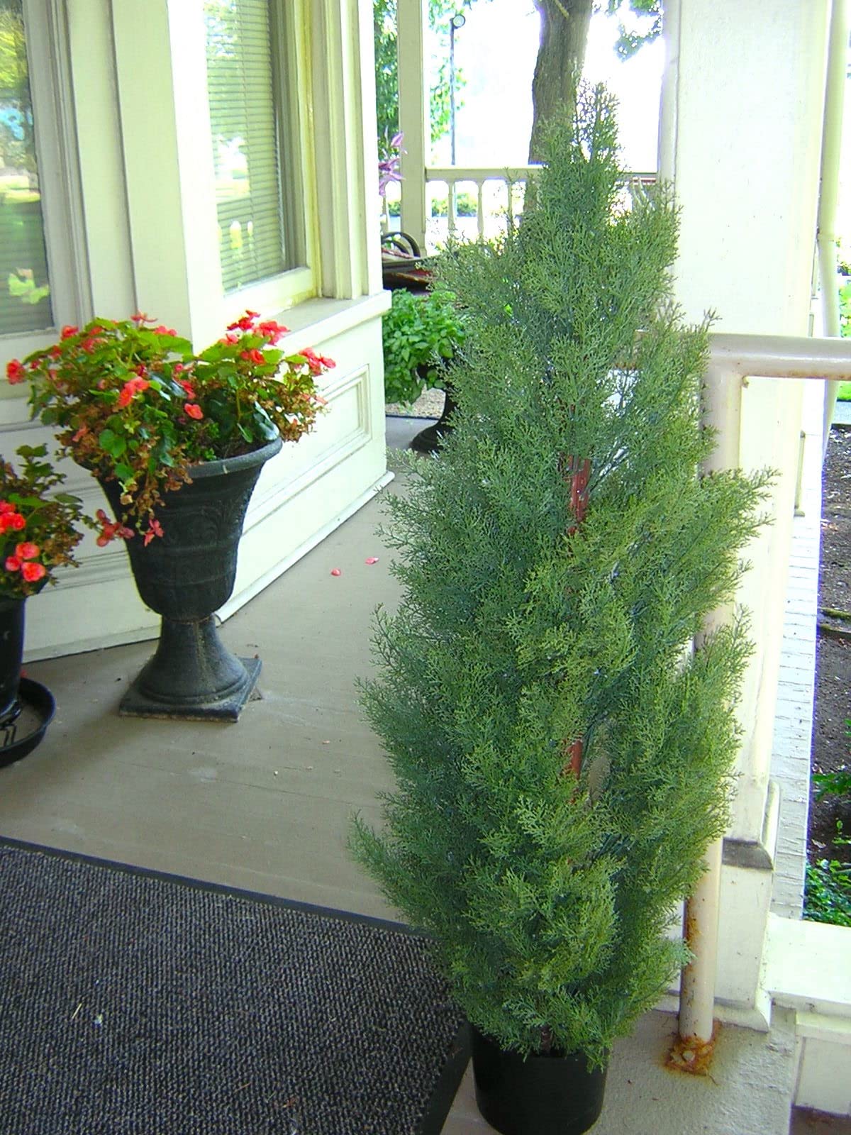 39/mo Finance SeelinnS Artificial Cedar Pine Tree Artificial Topiary Cedar Trees Potted UV