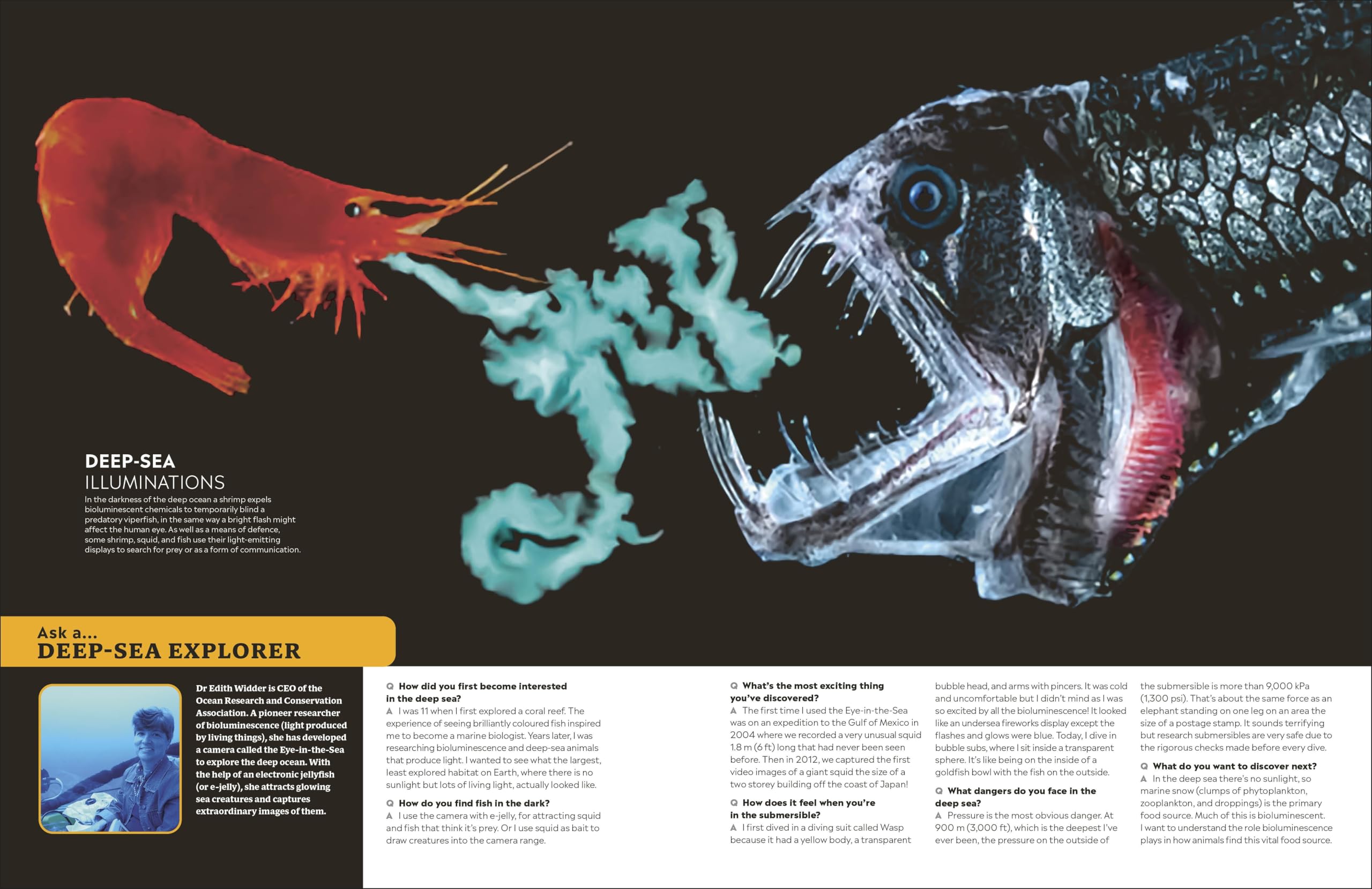 Eyewitness Encyclopedia of Animals