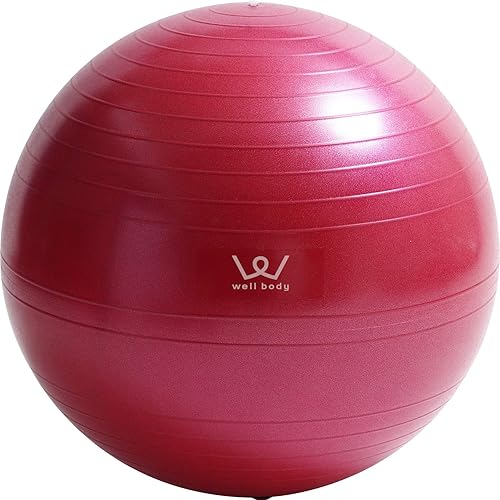 ALINCO エクササイズボール