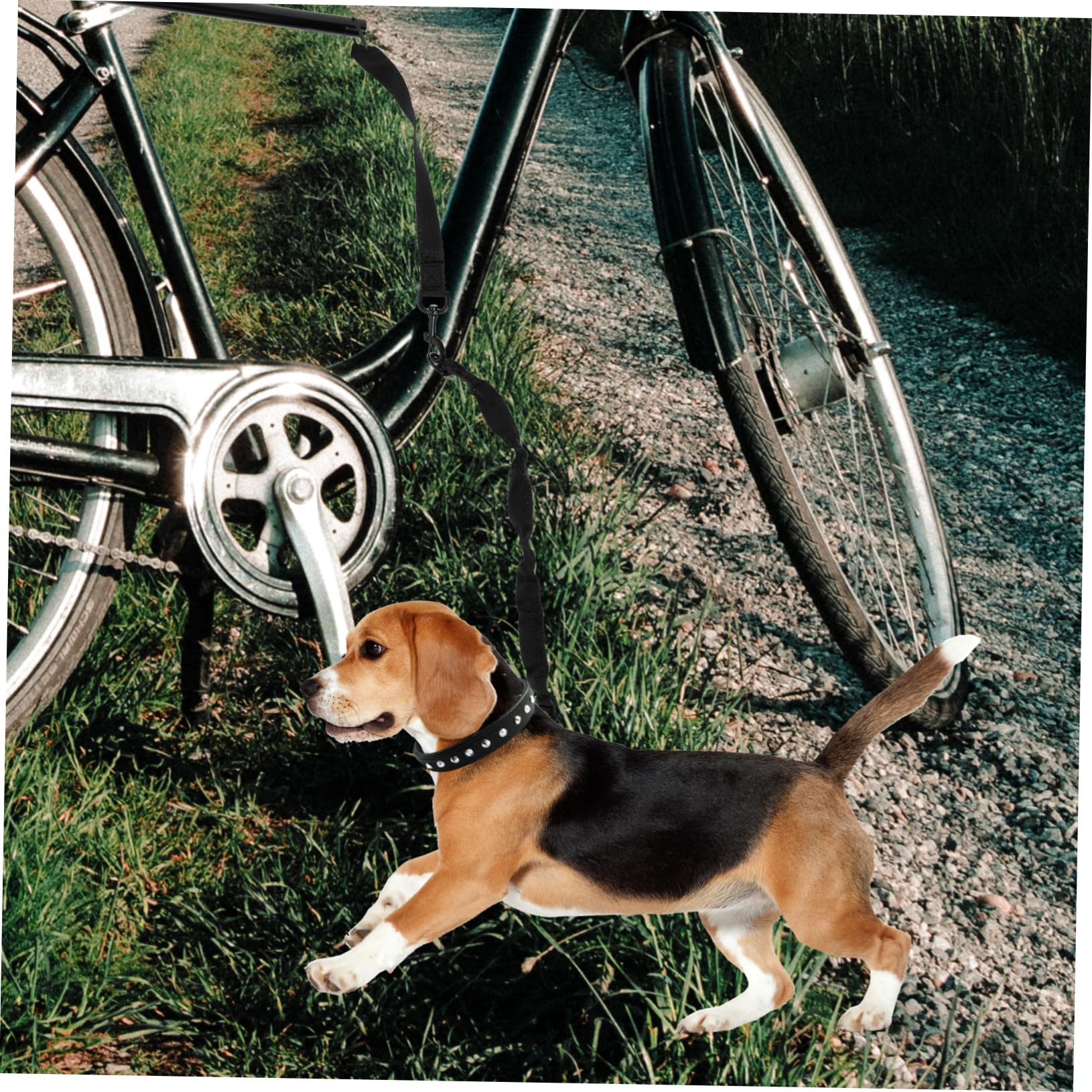 Laisse de Traction pour Chien Corde de Promenade Sécurisée Accessoire de Dressage pour Chiots Confortable et Durable Noire