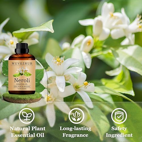 Miniatura 292 de Aceites esenciales de sándalo de 8.1 fl oz, aceite esencial puro de sándalo para difusor de aromaterapia, 8 onzas líquidas