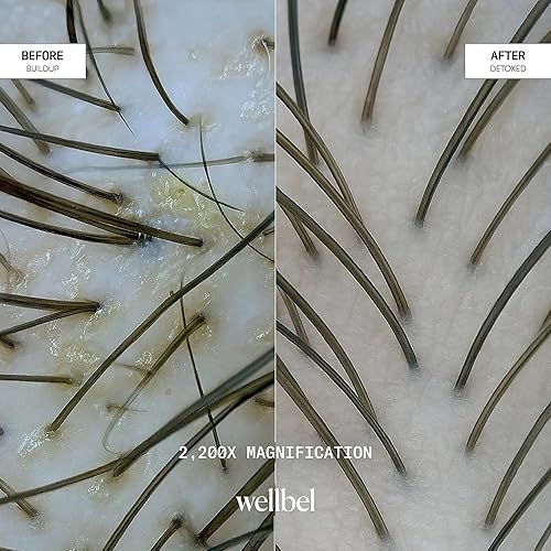 Miniatura 8 de WELLBEL Gelée Detox Shampoo - Desintoxicación del cuero cabelludo con pH equilibrado, exfolia y elimina suavemente la acumulación, probado por