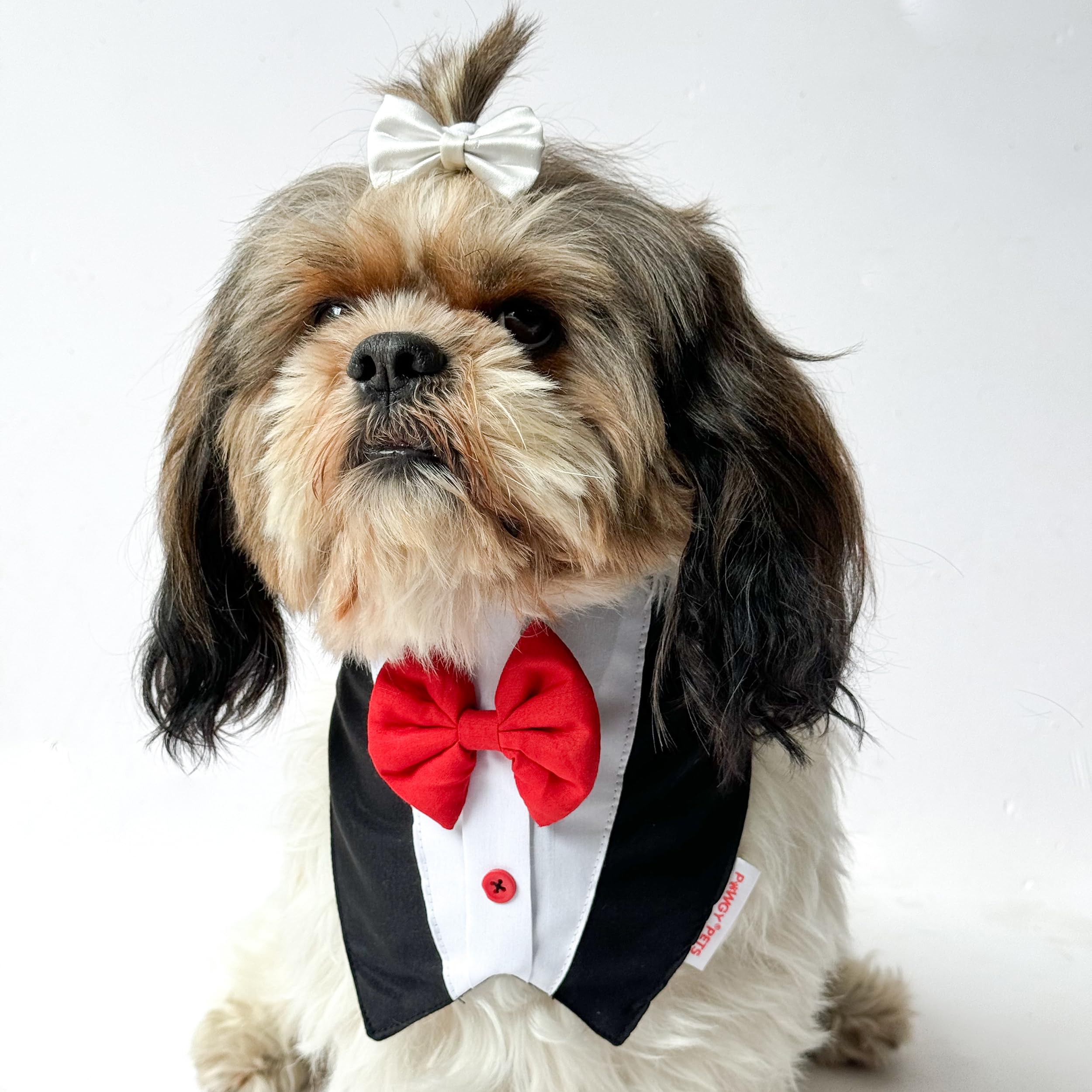 Pawgy Pets Formal Tuxedo Bandana Black (Medium) (B0D45J3PFC) Amazon Price History, Amazon Price Tracker