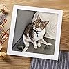 Product Photo 9