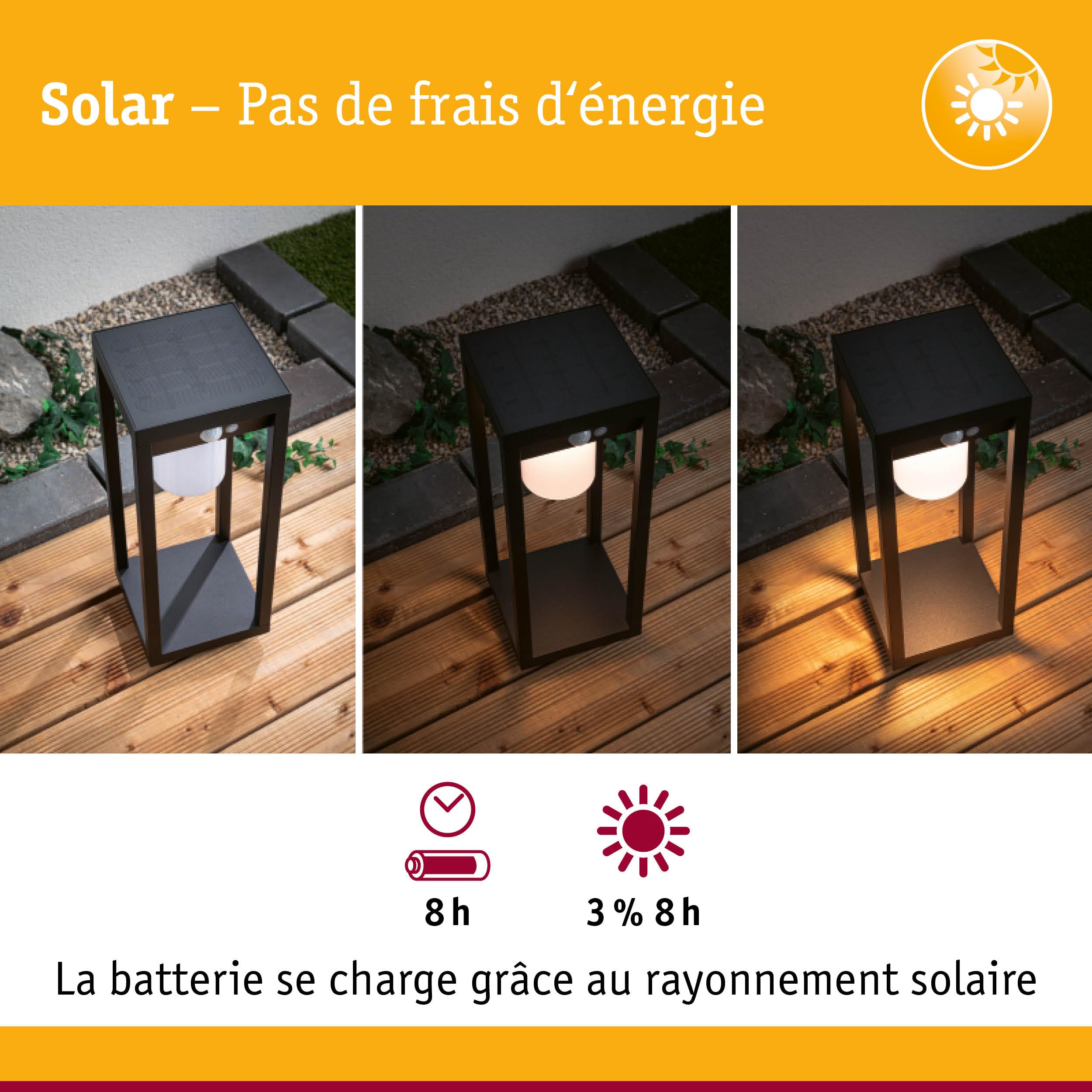Paulmann 94573 LED Solar objet lumineux Marisol avec détecteur de mouvement IP44, 1 x 5,5 W blanc chaud noir sans fil matière plastique rechargeable 3000 K