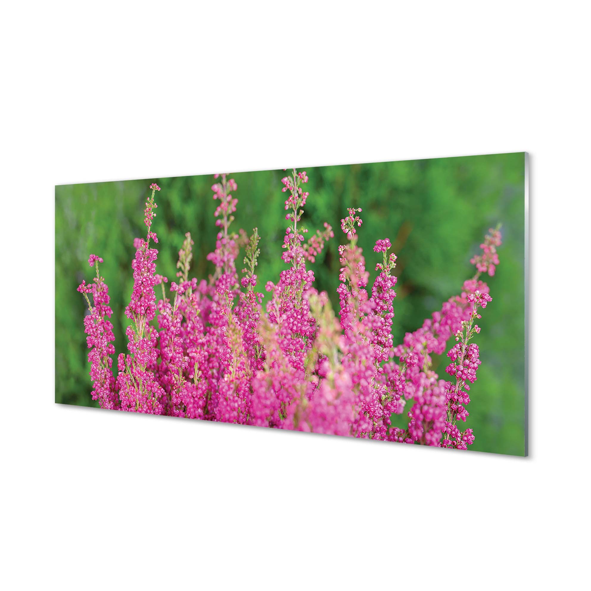 Plantes Fleurs Nature sur Verre Tulup pour Raviver un Mur Blanc de Chambre Sombre