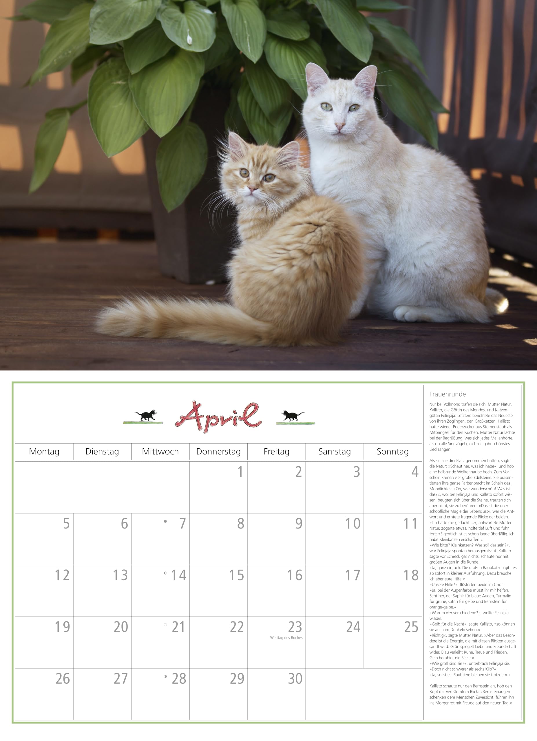 DuMonts Katzen Kalender 2027: Wandkalender 42x29 cm (42x58 cm geöffnet) mit Notizkalendarium, 12 Katzenportraits und literarischen Geschichten