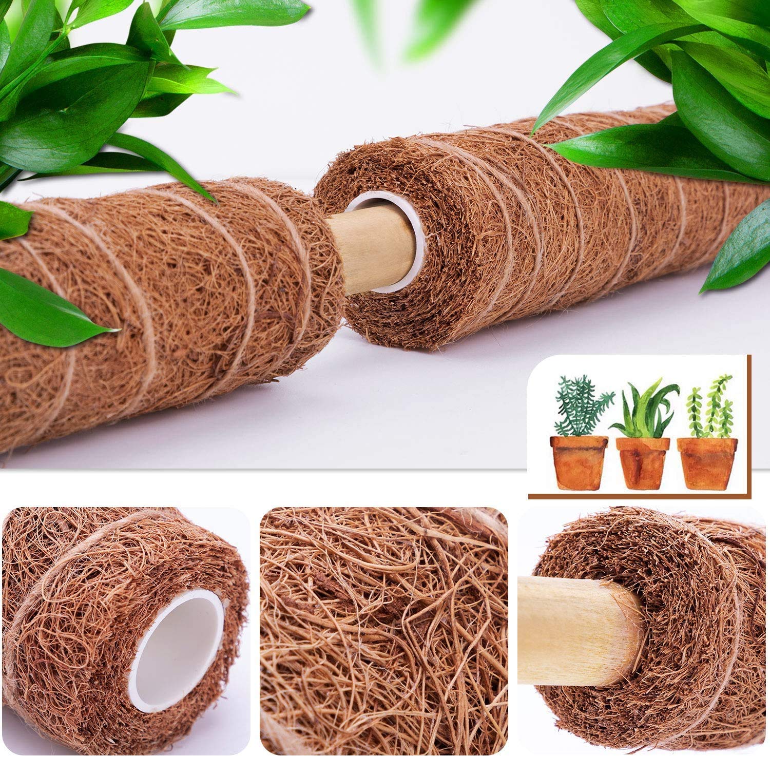MABUSIYI Kokos-Moosstangen Für Kletterpflanzen – 40,6 Cm, 2 Stück Inkl. Bänder, Ideal Für Monstera & Philodendron