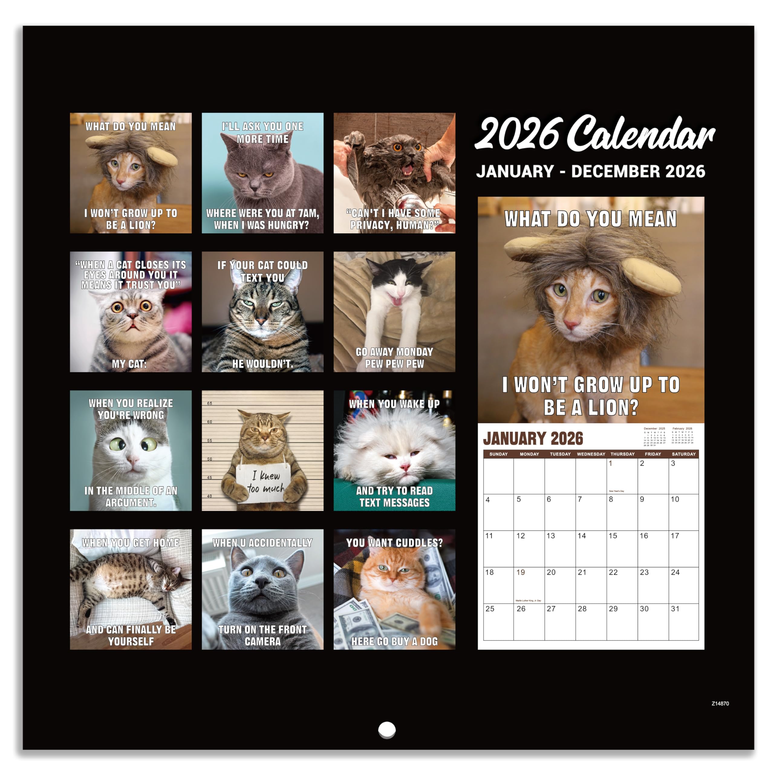猫が邪魔で何も見えないカレンダー 猫が邪魔で何も見えないカレンダー Amazon.co.jp: 2025 ミニ