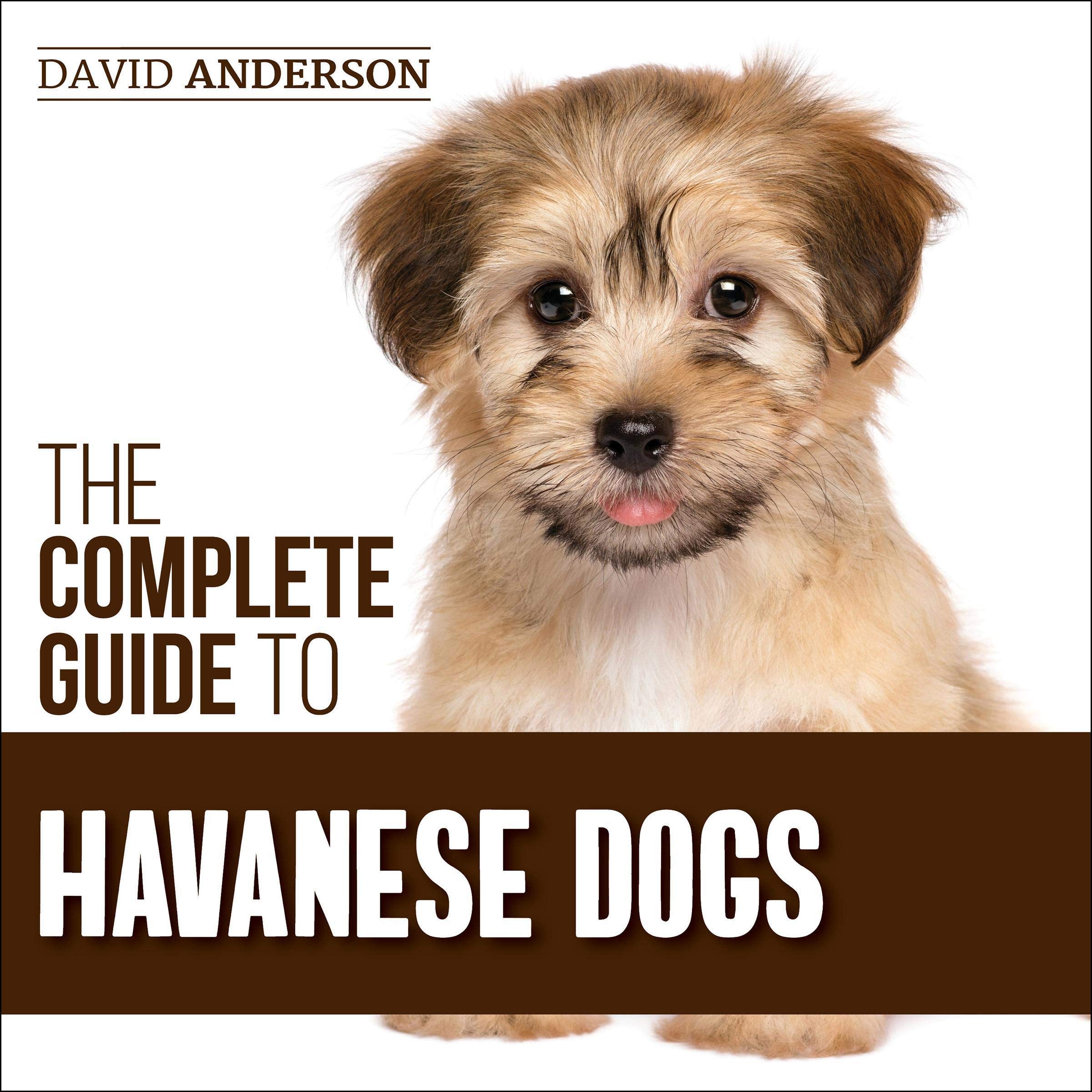 Cover art for The Complete Guide to Havanese Dogs