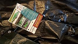 Review Image by Nancy in Florida Nancy in Florida