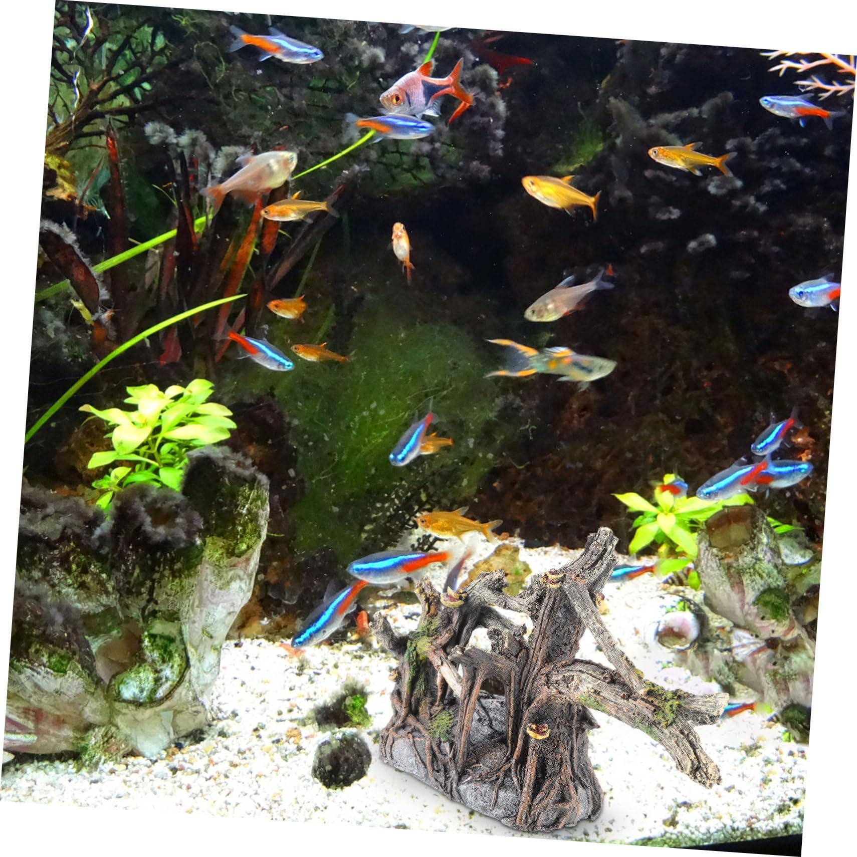 1pezzi Decorazione Per Acquario in Resina Arbusto Artificiale Per Acquario e Vasche Per Pesci Decorazione Paesaggistica Per