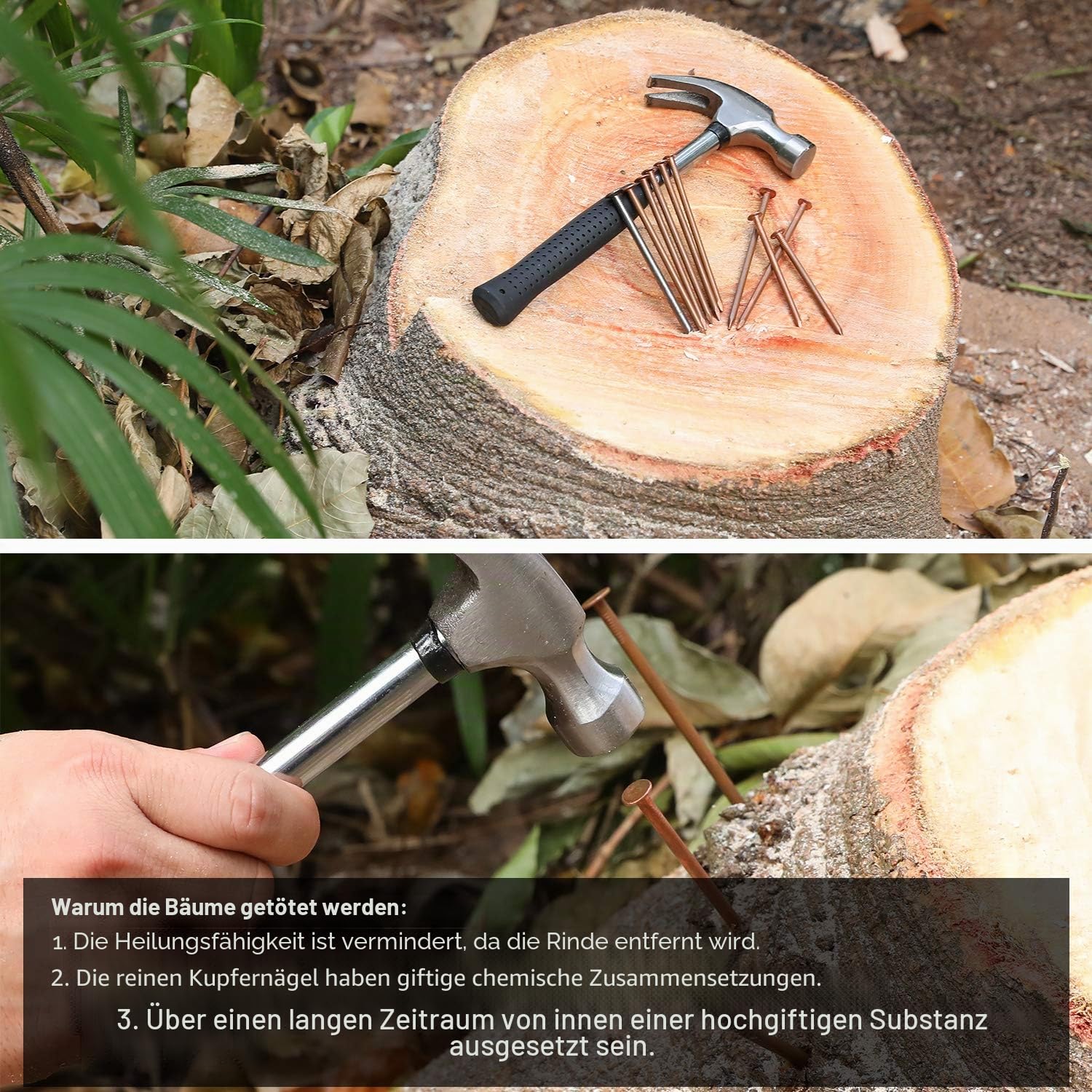 100 mm, 12 Stück, Kupfernägel, lang, zum Töten von Bäumen, Entfernen von Baumstümpfen mit 10,2 cm (4 Zoll) Nägel aus Stahl, Aufbewahrungsbox im Lieferumfang enthalten
