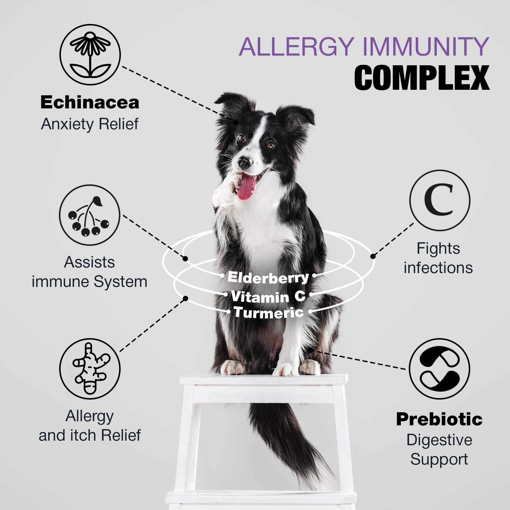 Can You Build Up An Immunity To Dog Allergies
