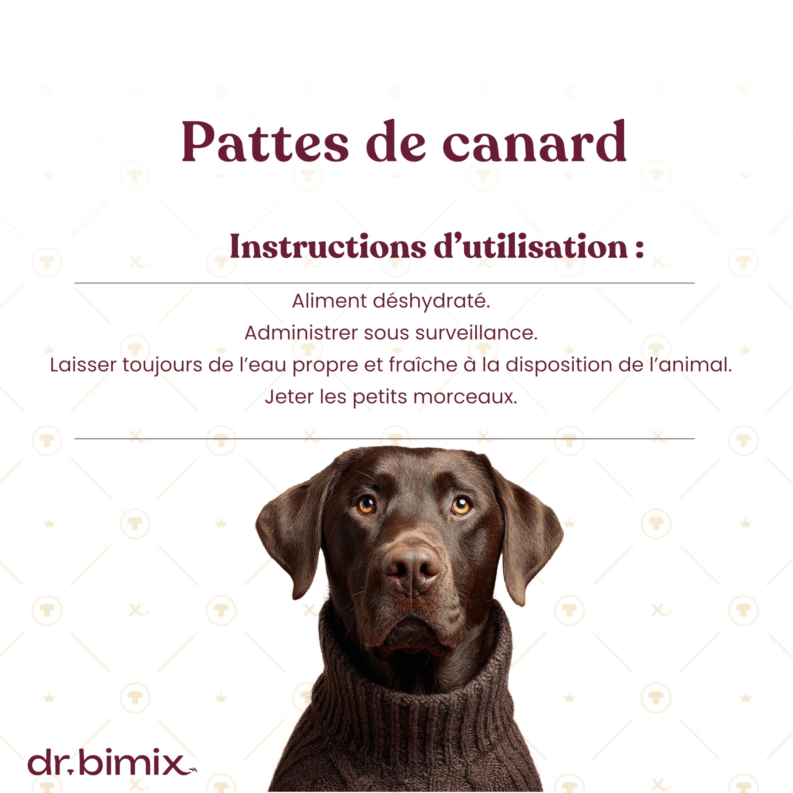 Pattes de Canard pour Chiens – Friandises Naturelles Riches en protéines et collagène – 450 g