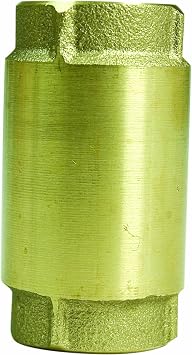 Parts2O FPU212-36LF 2-Inch Check Valve