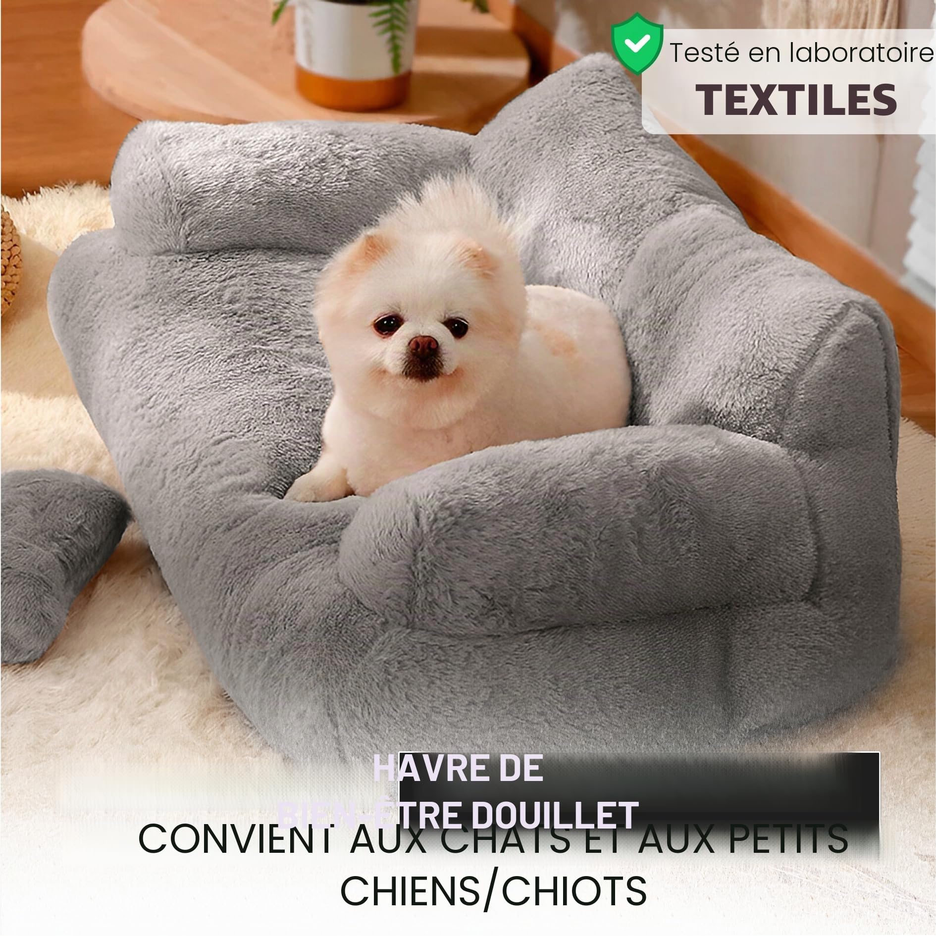 Canapé pour chat Simba Canapé pour chats et chiens en gris | Mini-coussin inclus | 70x48cm | Lit pour chat lit pour chien petits chiens | Moelleux suffisamment rembourré | Housse amovible