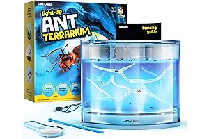 Light-Up Ant Farm Terrarium: A Captivating Habitat for Curious Minds
