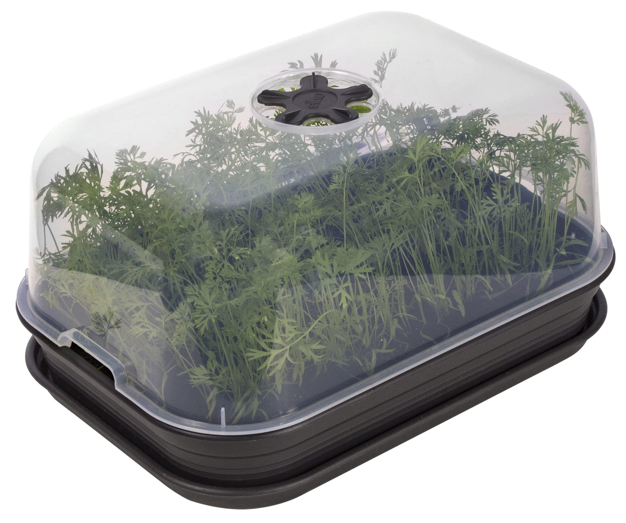 Muddy Hands Heavy Duty Reusable Seed Starter Grow House Kit – Tray, Lid & Saucer - Garden Greenhouse Seedling Growing Propagator