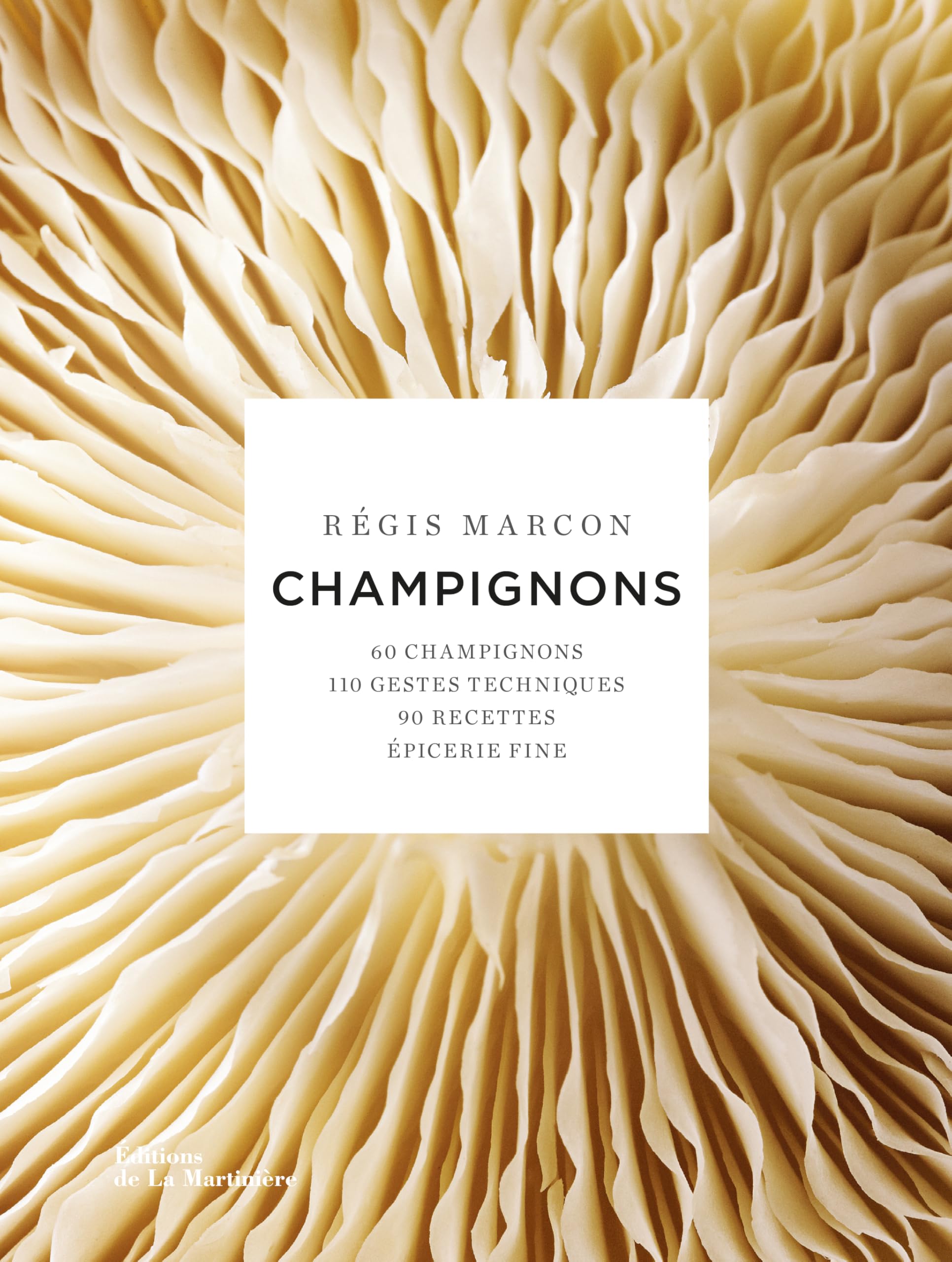 Champignons nouvelle édition