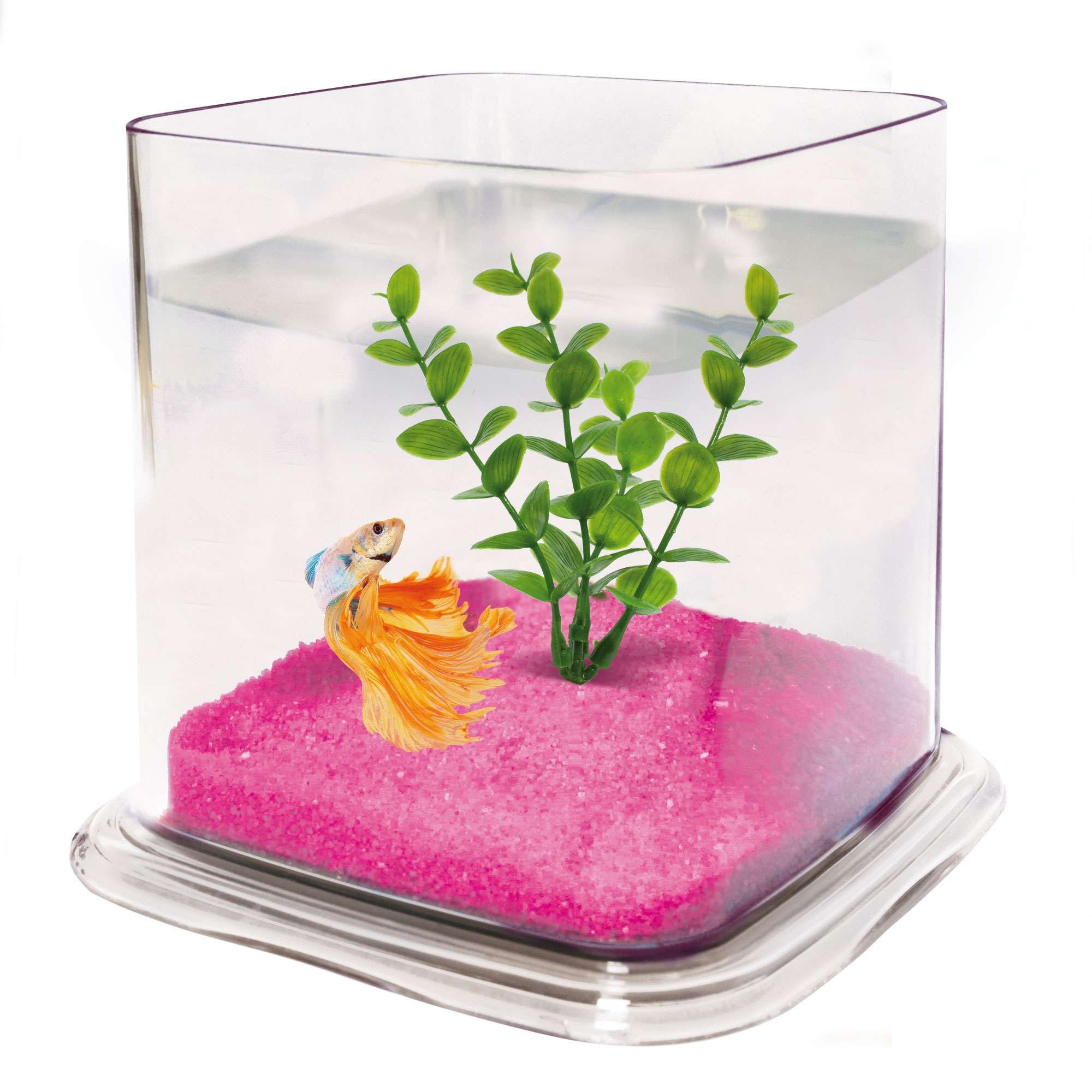 ICA PT072A Bettera Betta Paradise Transparent, 13,5 x 15 x 15 cm, 1,9 l, Gravier et Plante en Plastique Inclus