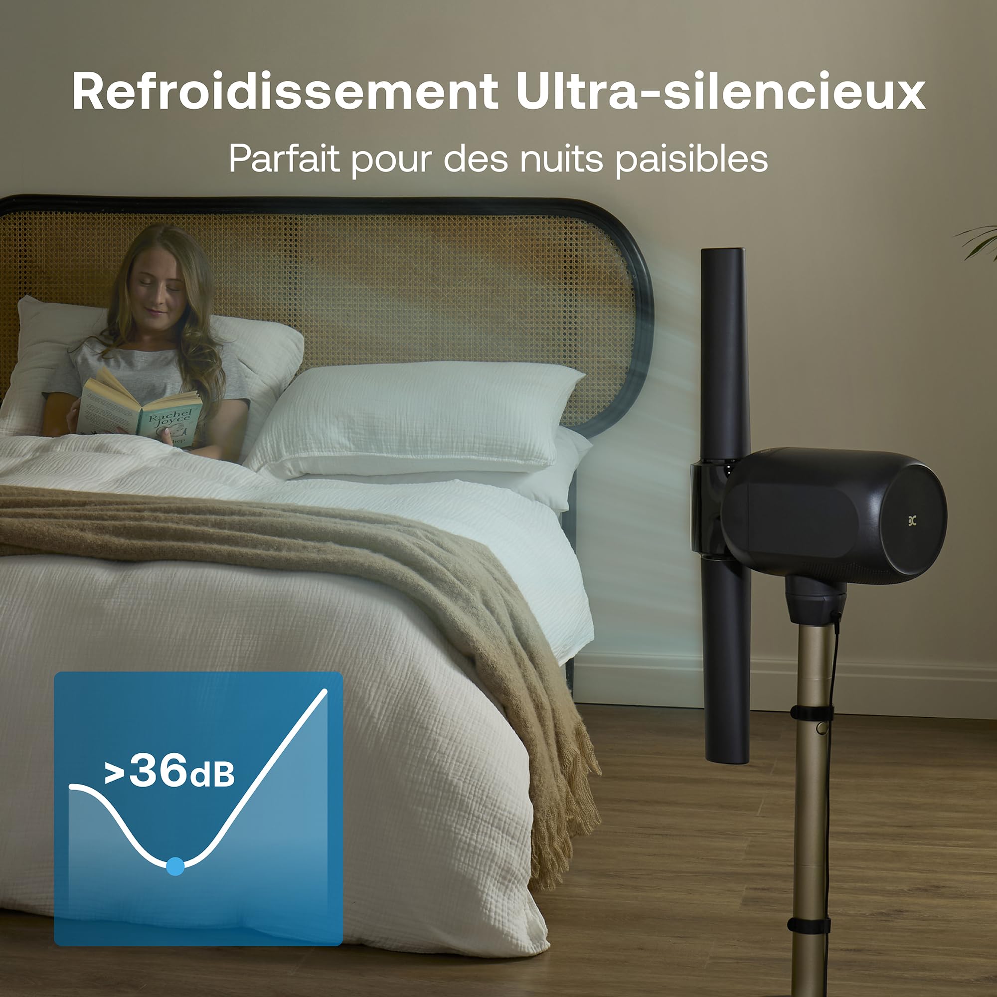 DIMPLEX FlexBlade Ventilateur sans Pales sur Pied, Double Direction 2×180°, Oscillation 90°, Portée 20 m, Silencieux 36 dB, Télécommande Magnétique, 5 Vitesses, Minuterie