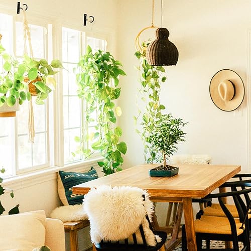 Miniatura 8 de Ganchos de techo para plantas colgantes, colgador para macetas de interior y exterior, gancho de pared para macetas, cesta de flores, campanillas de