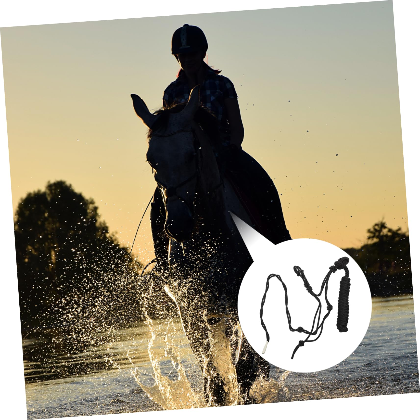 Cabestro de Cuerda Trenzada para Caballo Nudo Rígido, Fácil de Usar y Transportar, Accesorio Adecuado para Entrenamiento Ecuestre y Trabajo en Pista Color Aleatorio