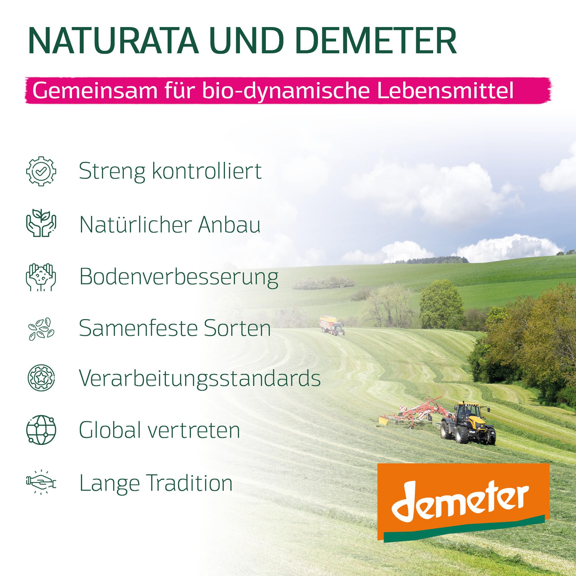 Naturata Lateinamerika Edelbitter 100% Schokolade | 10er Packung (10 x 80g) | Intensiver Kakao-Genuss aus der Dominikanischen Republik & Ecuador | Fairtrade & Schweizer Herstellung