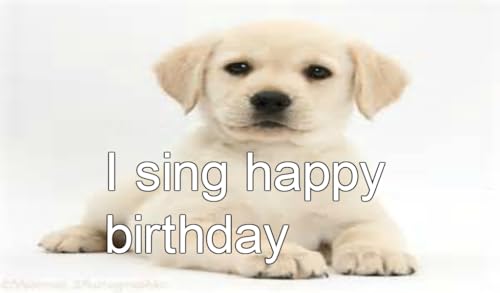Happy birthday singing puppy video