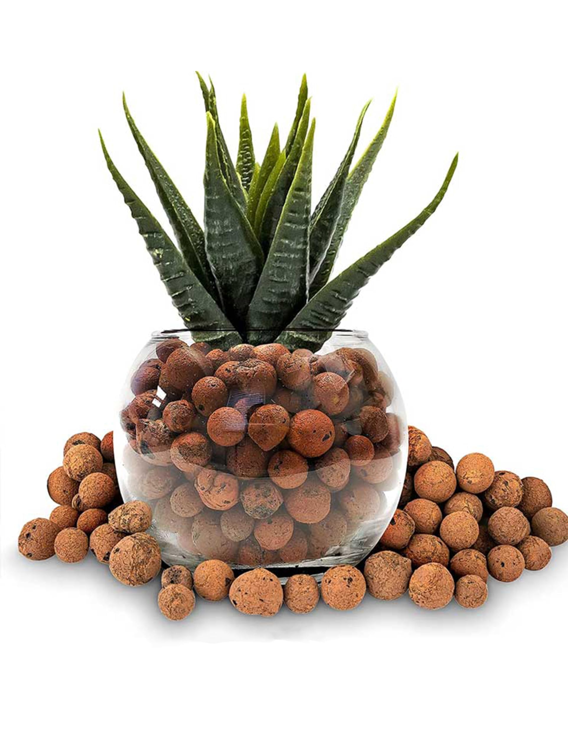 Clay Balls for Potting Mix of All Type of Plants Hydroponics and Soilless Gardening-Improves Plant Growth, Aeration, and Drainage (5 KG) (1.00, Kilograms) (B0D6Z2491G) Amazon Price History, Amazon Price Tracker