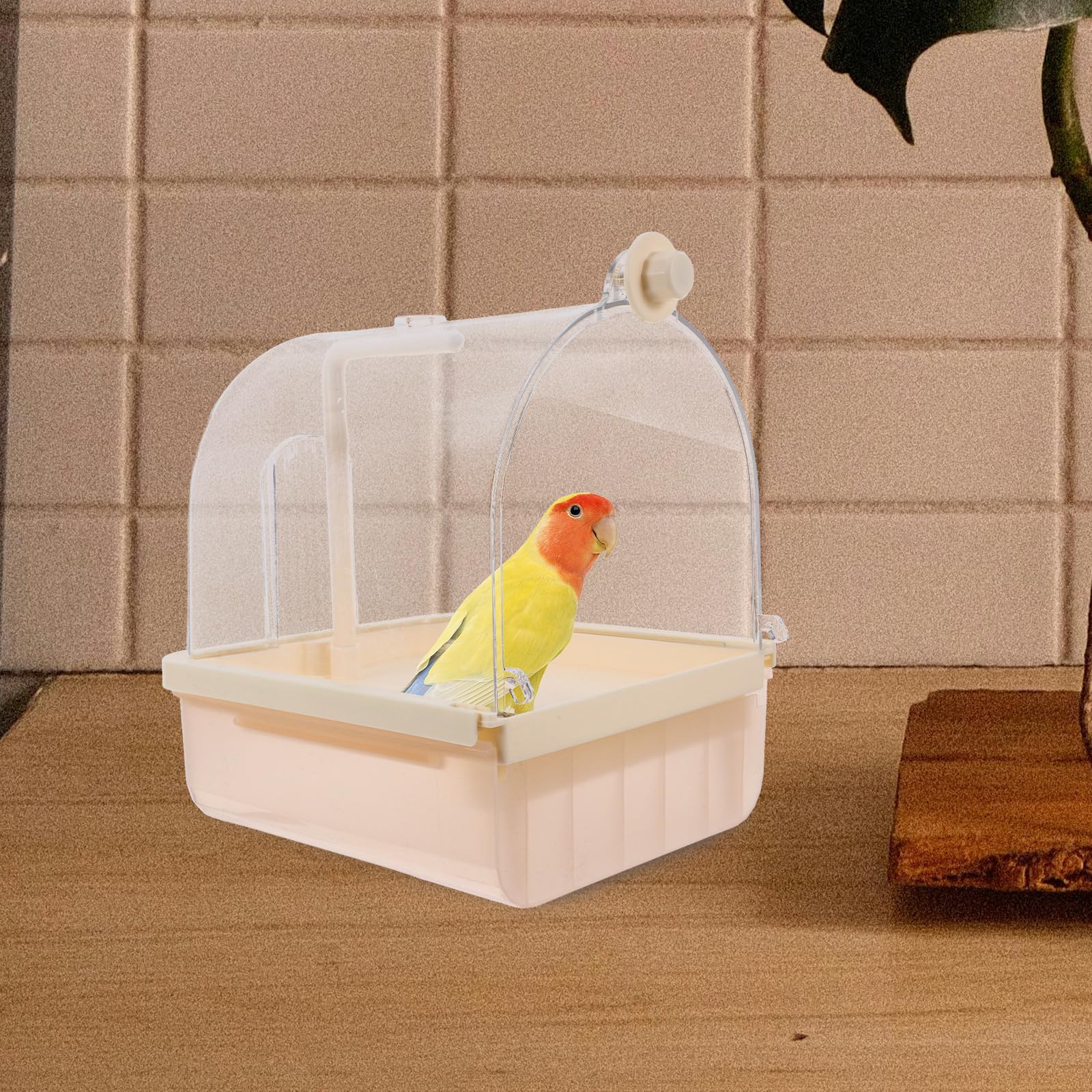 Bain Automatique pour Perroquet, Baignoire Suspendue de Cage Abs