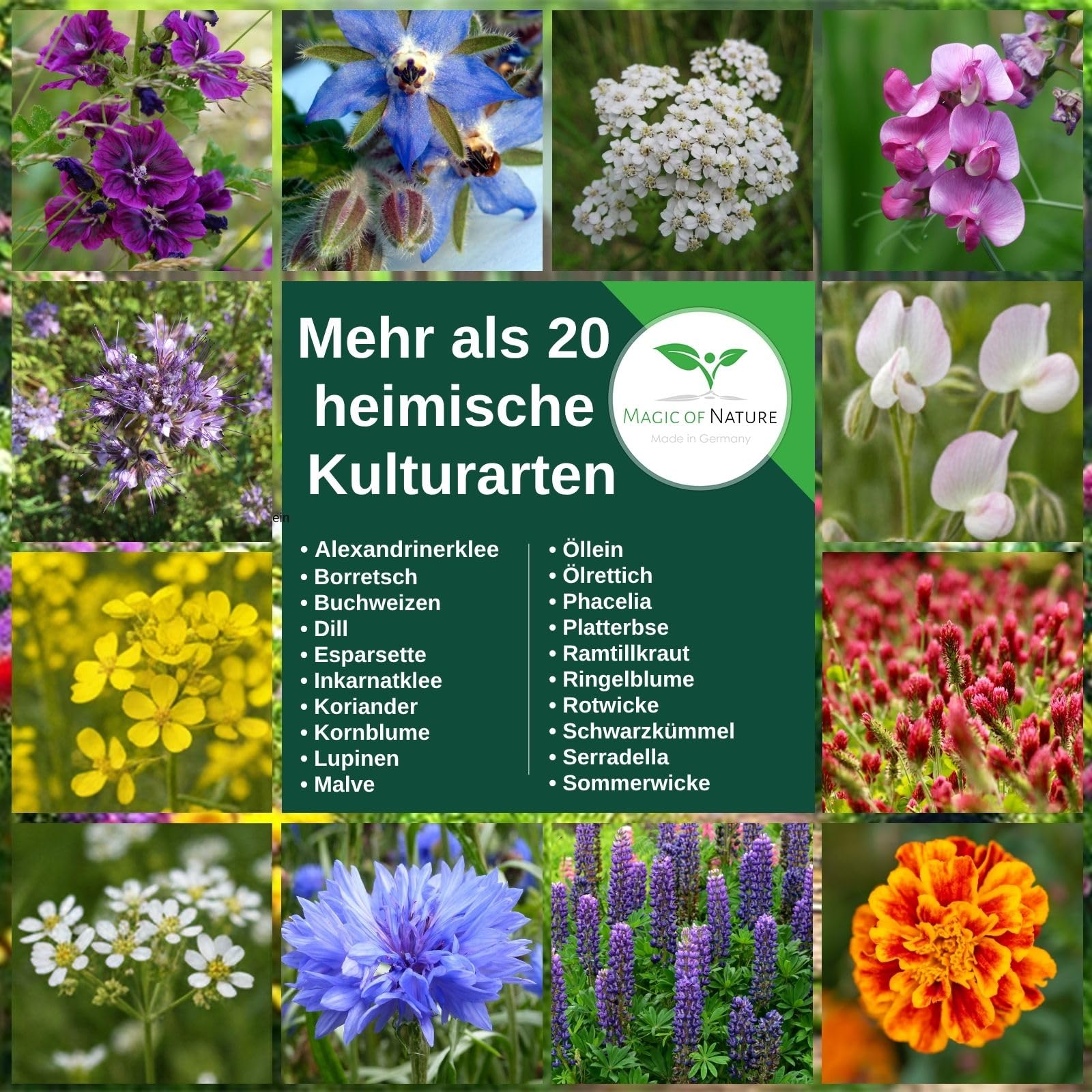 Magic of Nature: Blumensamen Mischung 2,5kg Bienen-Paradies Bienenweide | Über 20 einheimische Arten ohne Gräser - Hohe Keimkraft für 750-1250 m²