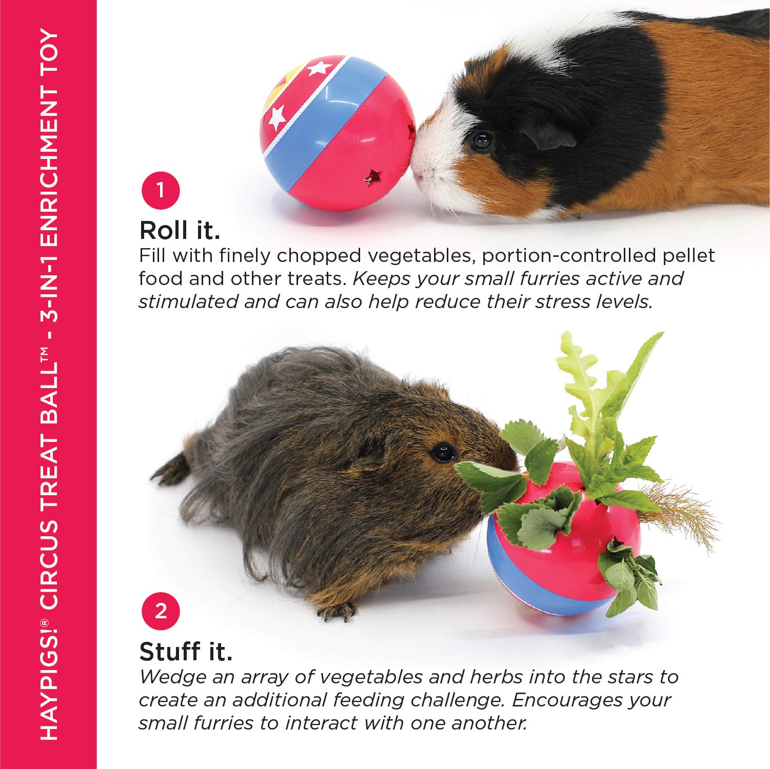 HAYPIGS Jouets et accessoires sur le thème du cirque - Tunnel pour cochon d'Inde - Balle à friandises - Jouet lapin - Petit animal pour se débarrasser de l'ennui