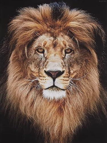 Kit de pintura de diamante 5D para adultos, arte de diamantes de imitación de cristal redondo de taladro completo, lienzo perfecto para decoración