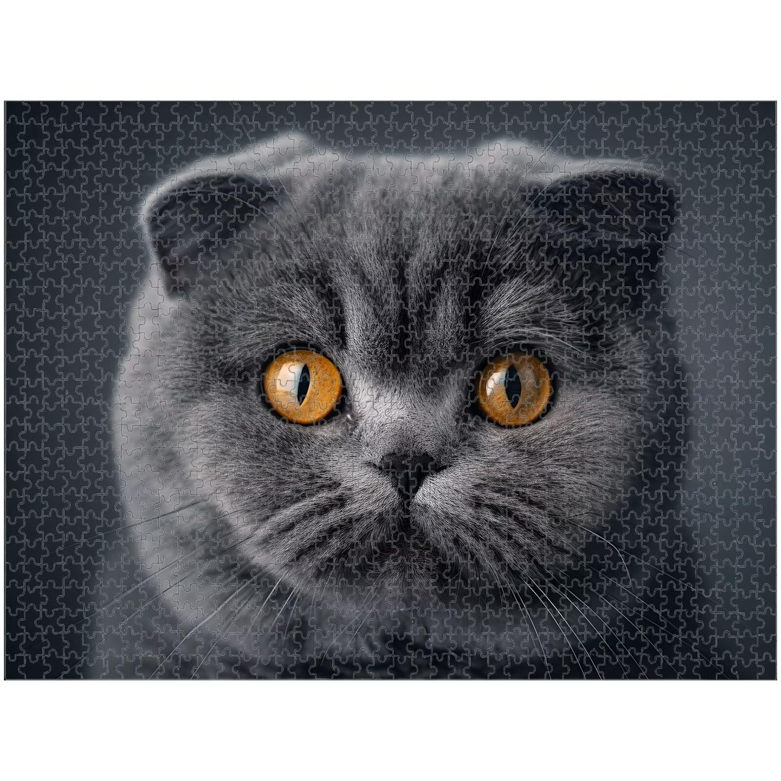 1000 Pièces Puzzle Adulte Chat & Gris Puzzle en Bois Robuste 1T#1138 | Puzzle en Bois, Découpe de Précision, Encres aux Couleurs Vives, Loisir Relaxant, Décoration Intérieure, Cadeau, 50x75cm