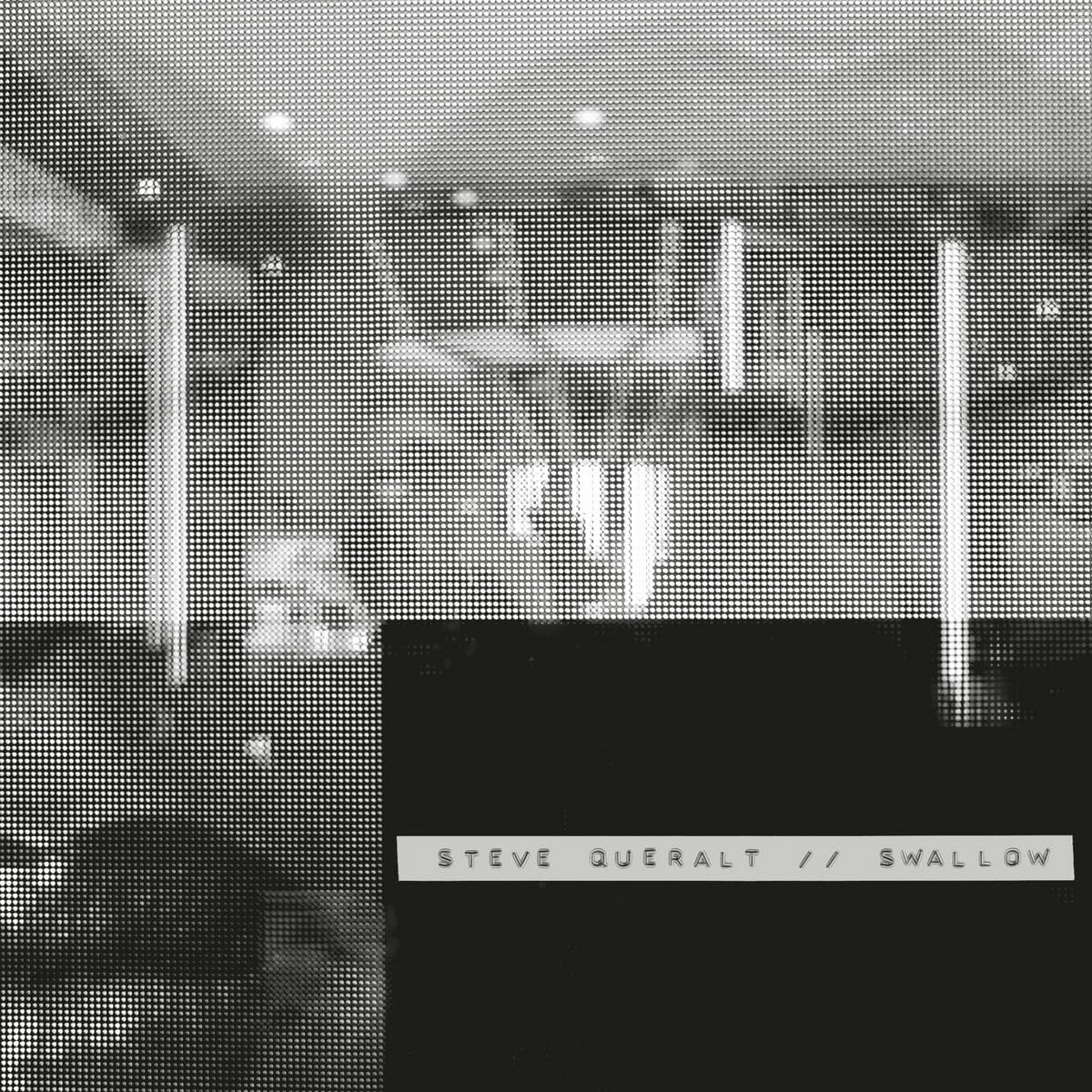 Swallow [VINYL]